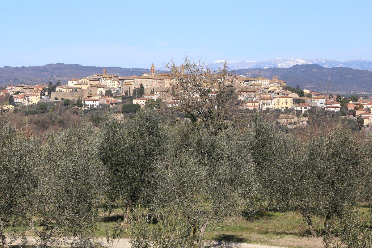 Olificio Toscano Morettini - produzione olio extra vergine d'oliva Olificio Toscano Morettini - produzione olio extra vergine d'oliva