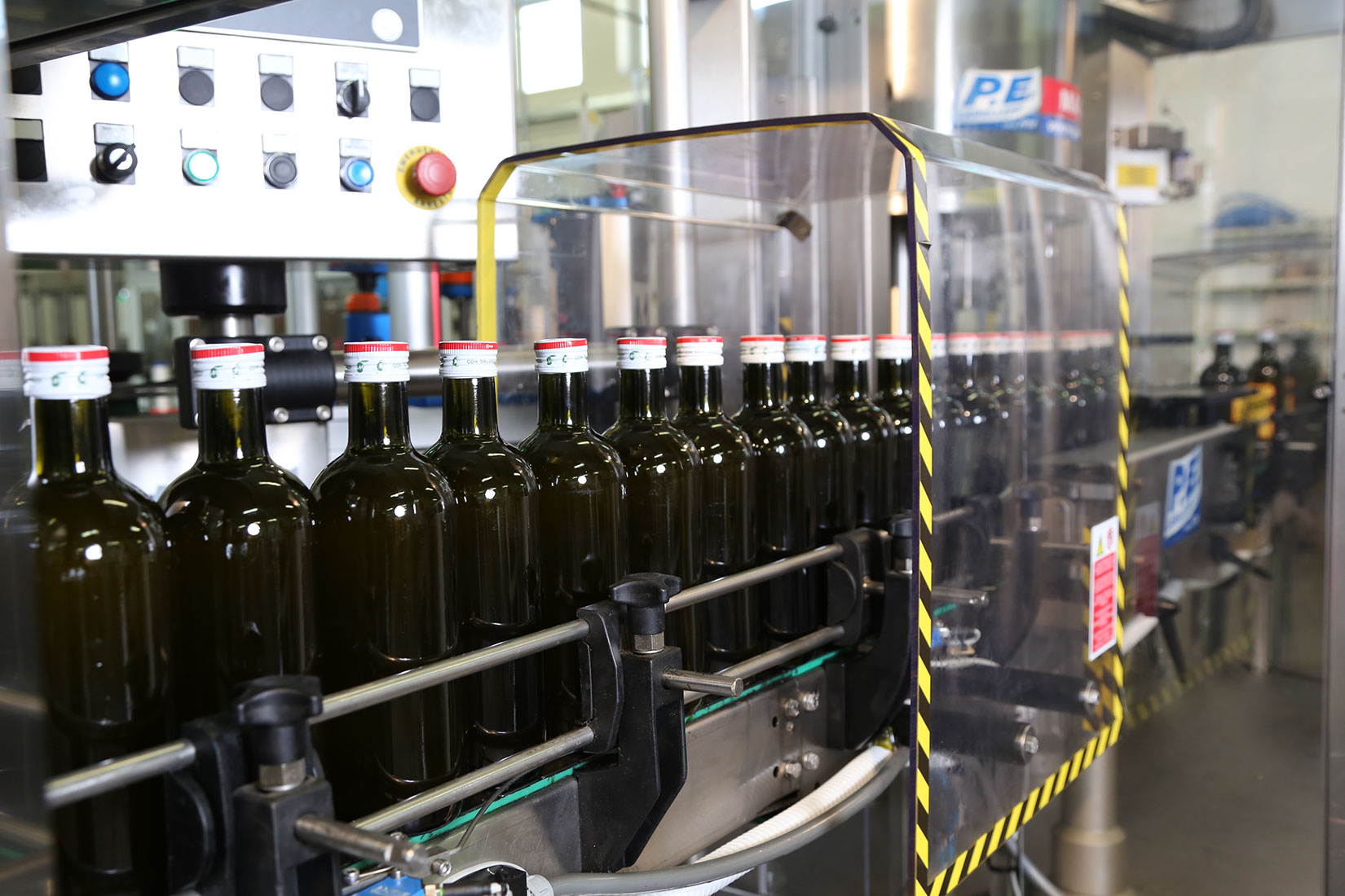 Oleificio toscano Morettini - produzione olio d'oliva Oleificio toscano Morettini - produzione olio d'oliva