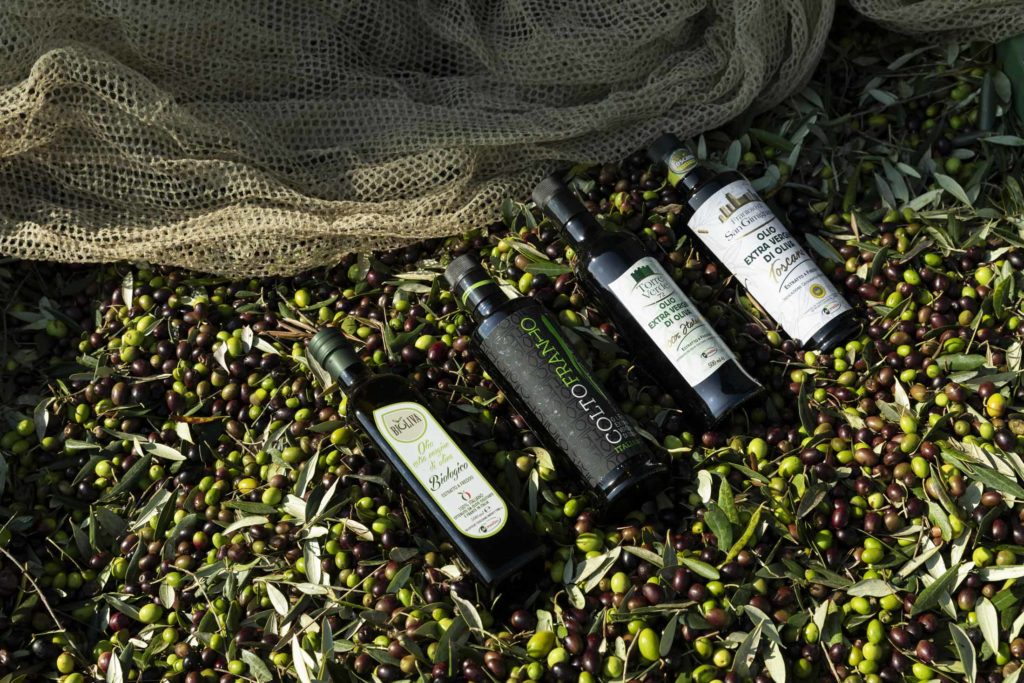 Bottiglie di oli extra vergine di oliva Morettini su olive